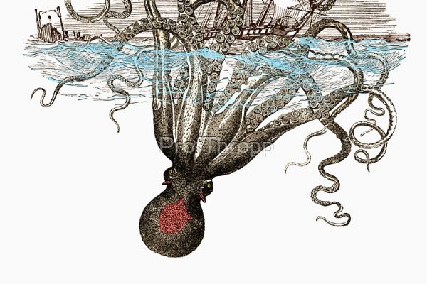 Kraken russia