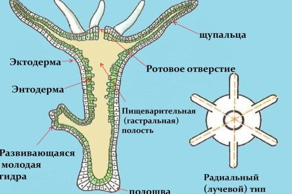 Ссылка кракен не работает