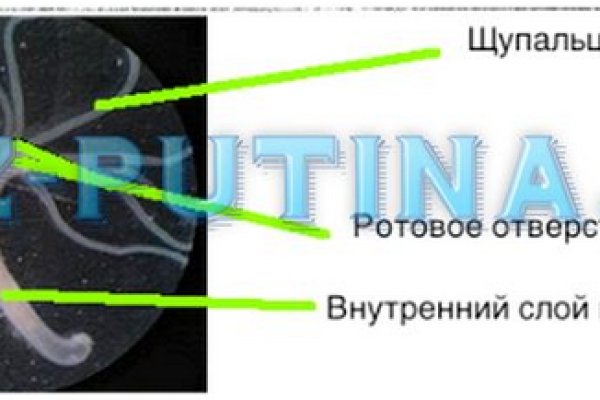 Kraken что это за сайт