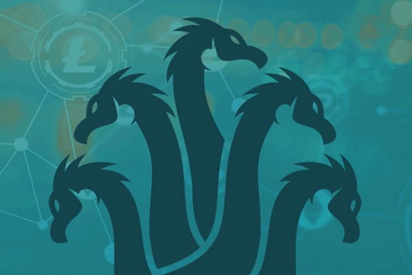 Kraken 11at