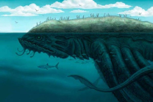 Kraken 12 at