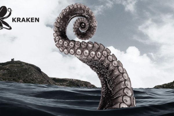 Kraken whitenet зеркала кракен обход
