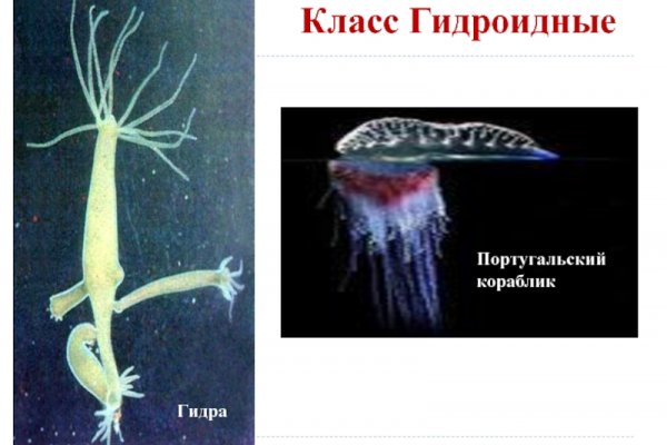 Kraken это современный маркетплейс
