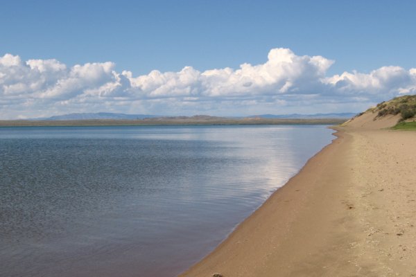 Кракен онлайн