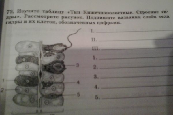 Кракен зеркала официальные