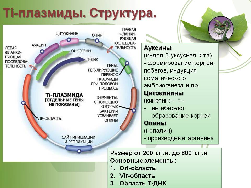 Кракен сбой