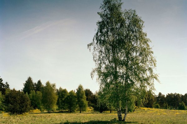 Купить счастье томск