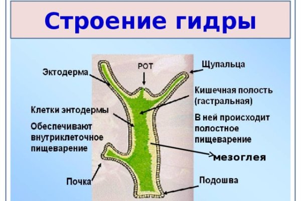 Кракен онион тор