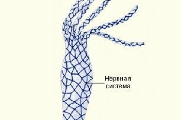 Kraken 19 at сайт