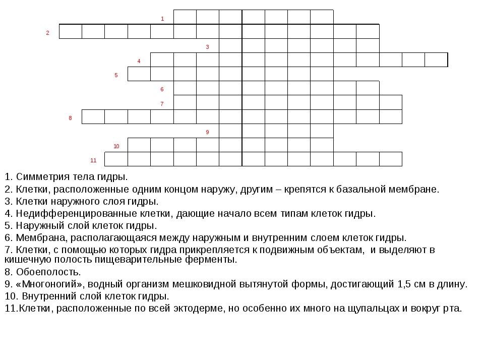 Короткая ссылка на кракен