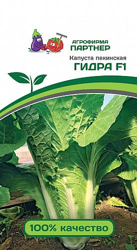 Сайты типа гидры